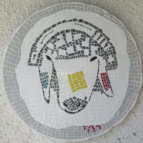 כבשה 15