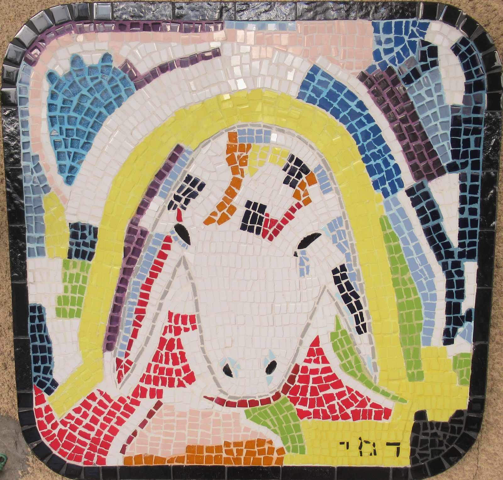 כבשה 19