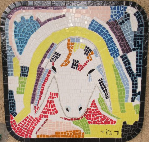 כבשה 19